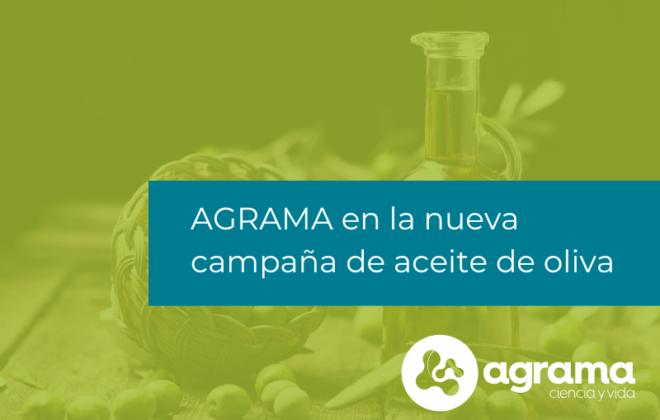 Campaña de Aceite de Oliva