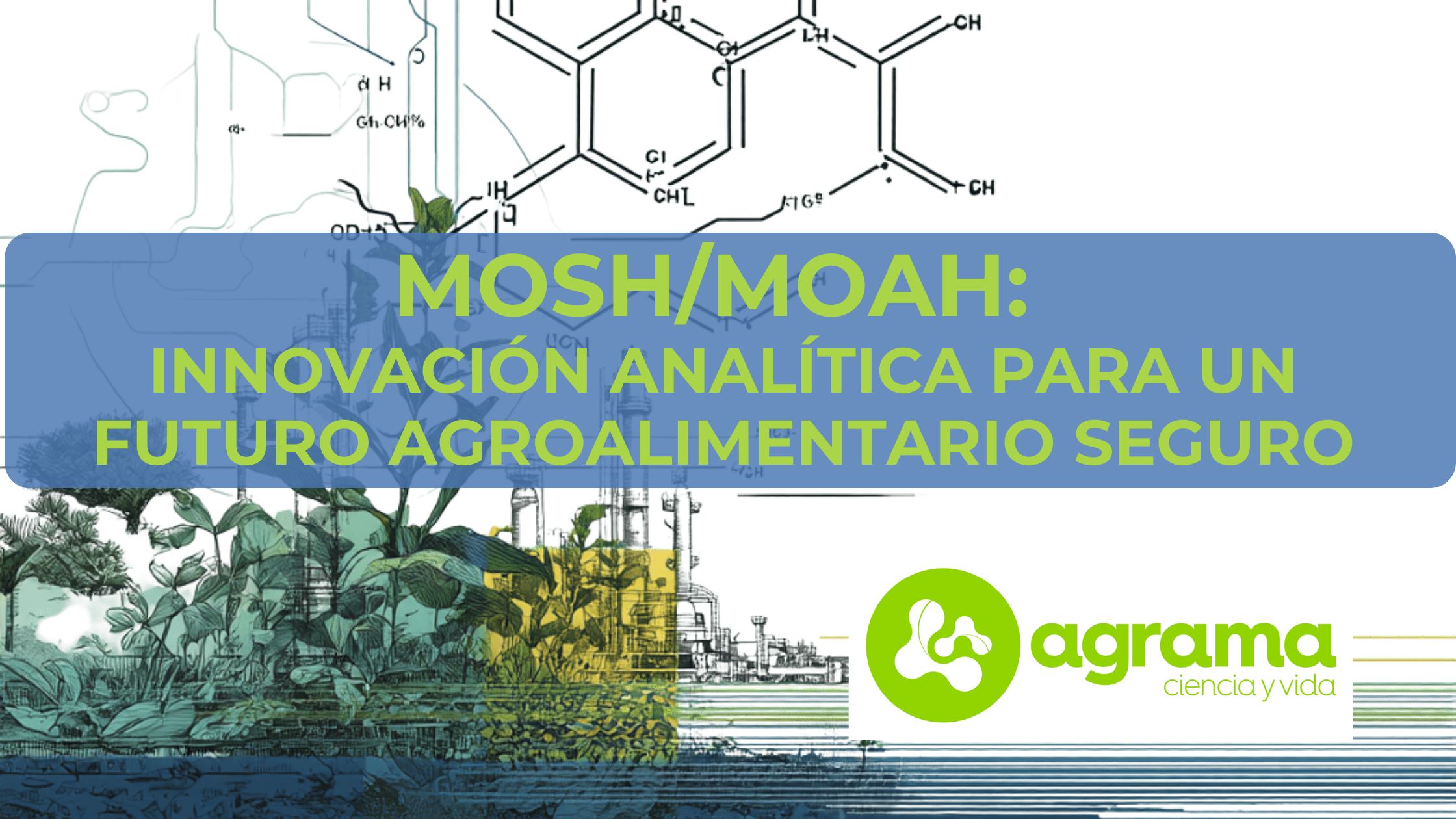 banner MOSH