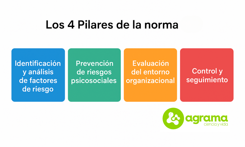 pilares de la Norma (1) Gráfico con los cuatro pilares de la norma 035: identificación de riesgos, prevención psicosocial, evaluación organizacional y seguimiento