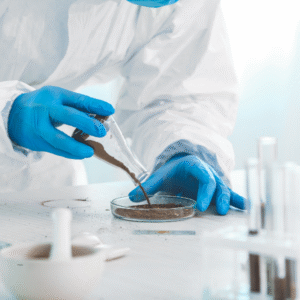 tomando muestras de suelo Analizando muestras de suelo