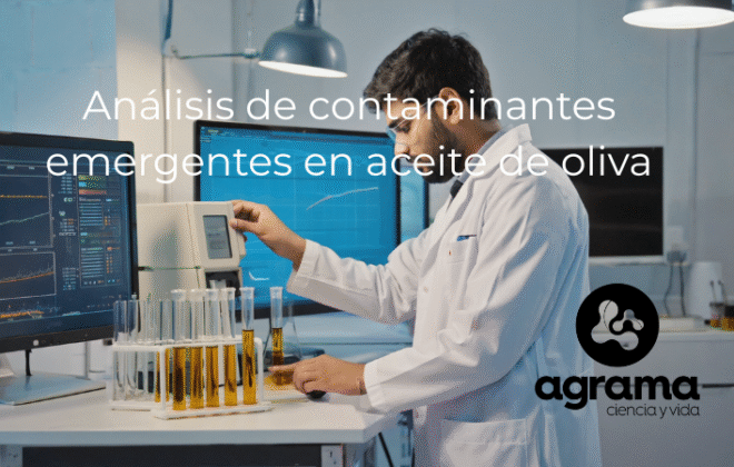 analisis aceite oliva 2025 2026